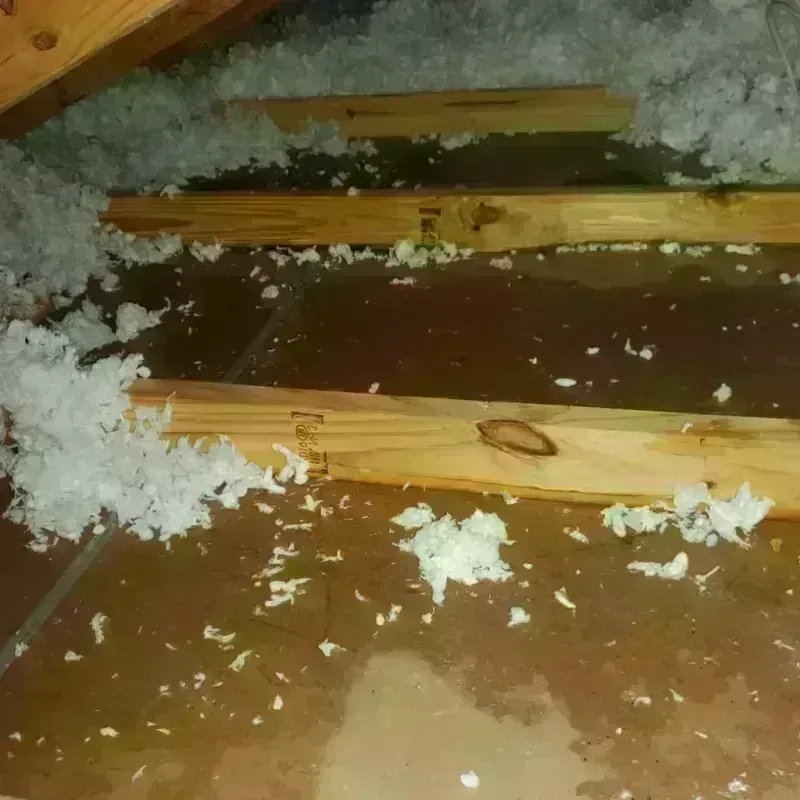 Attic Water Damage in Western Lake, TX