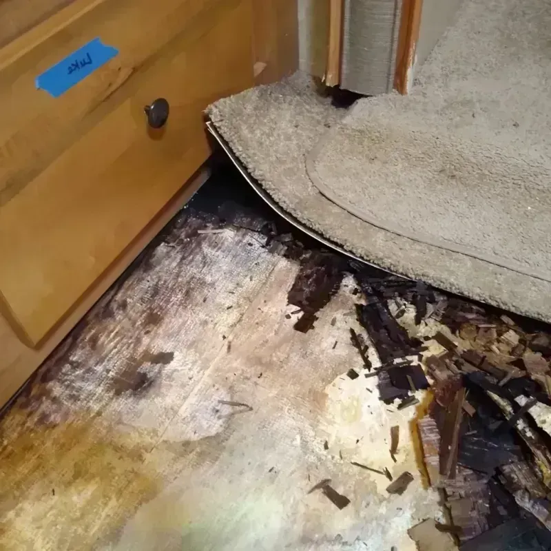 Wood Floor Water Damage in Western Lake, TX